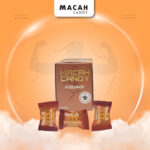 MacaH K20A01
