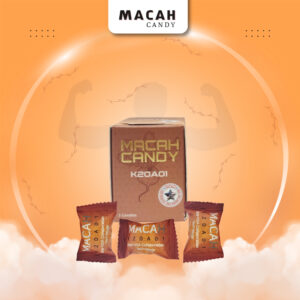 MacaH K20A01